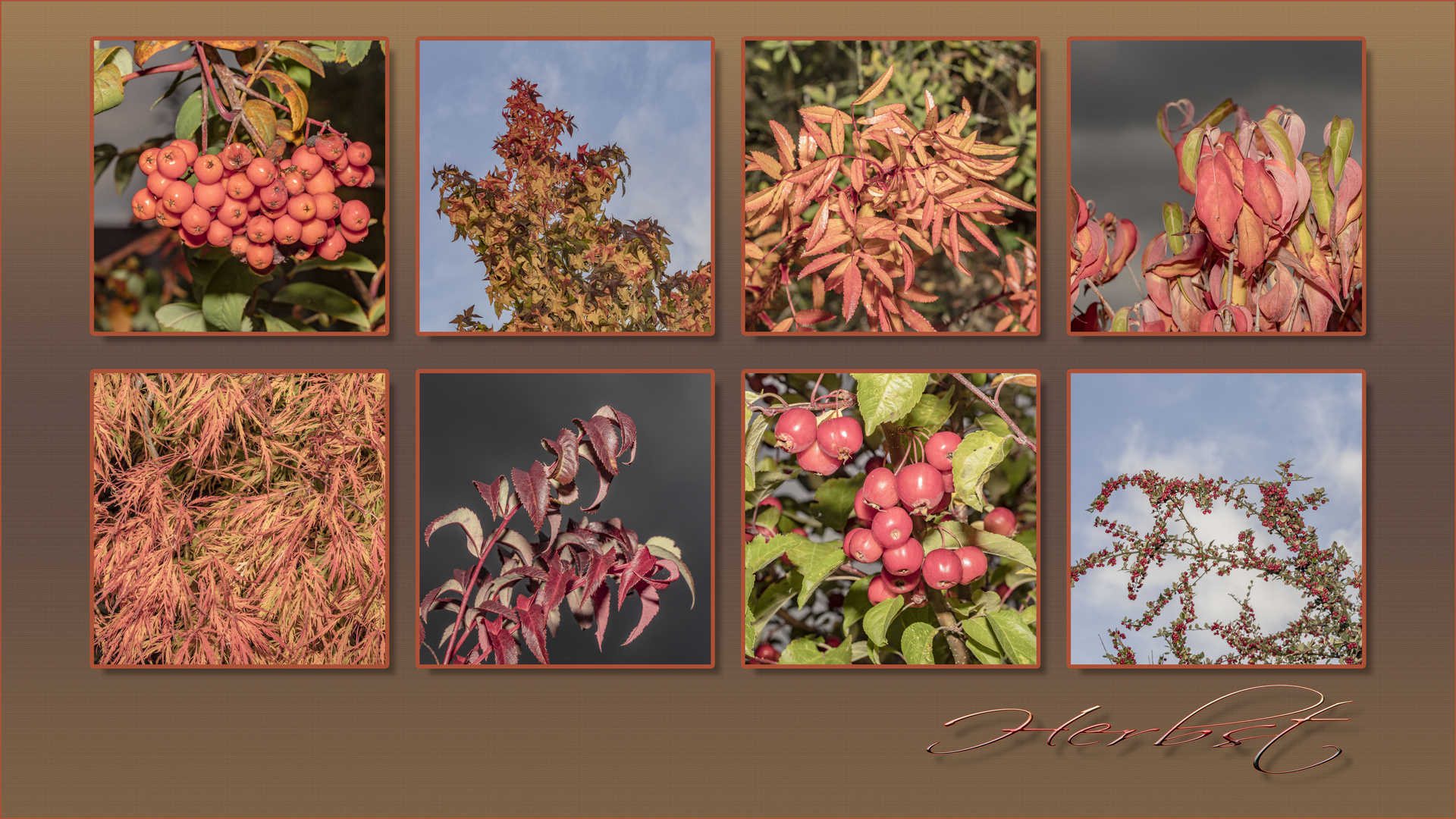 ~ Herbstcollage ~