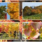 Herbstcollage