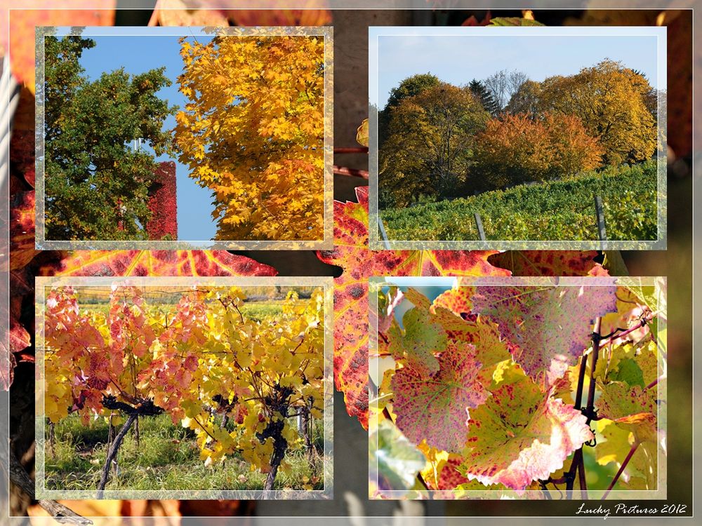 Herbstcollage