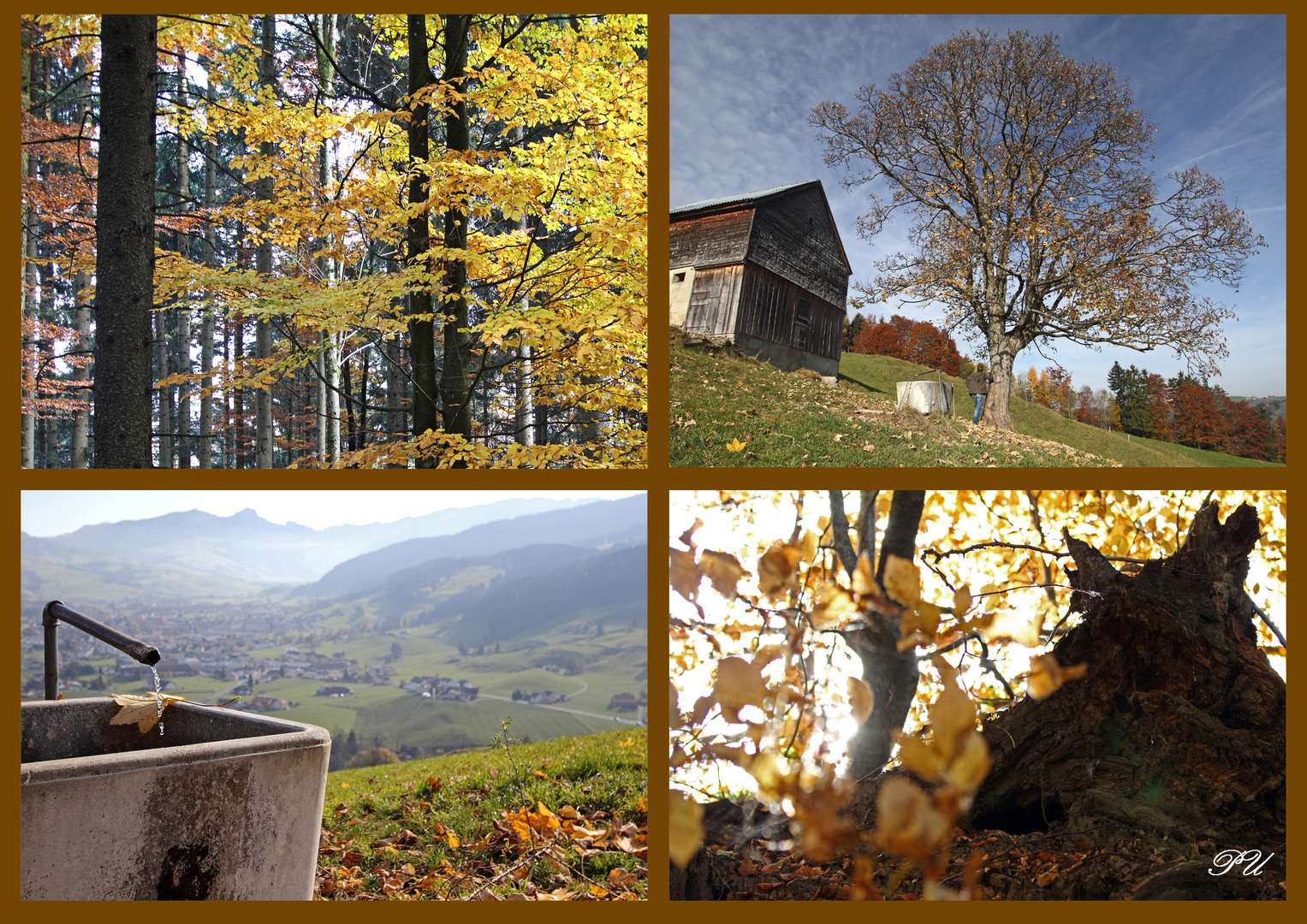 Herbstcollage