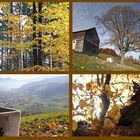 Herbstcollage