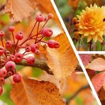 Herbstcollage