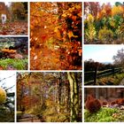 Herbstcollage