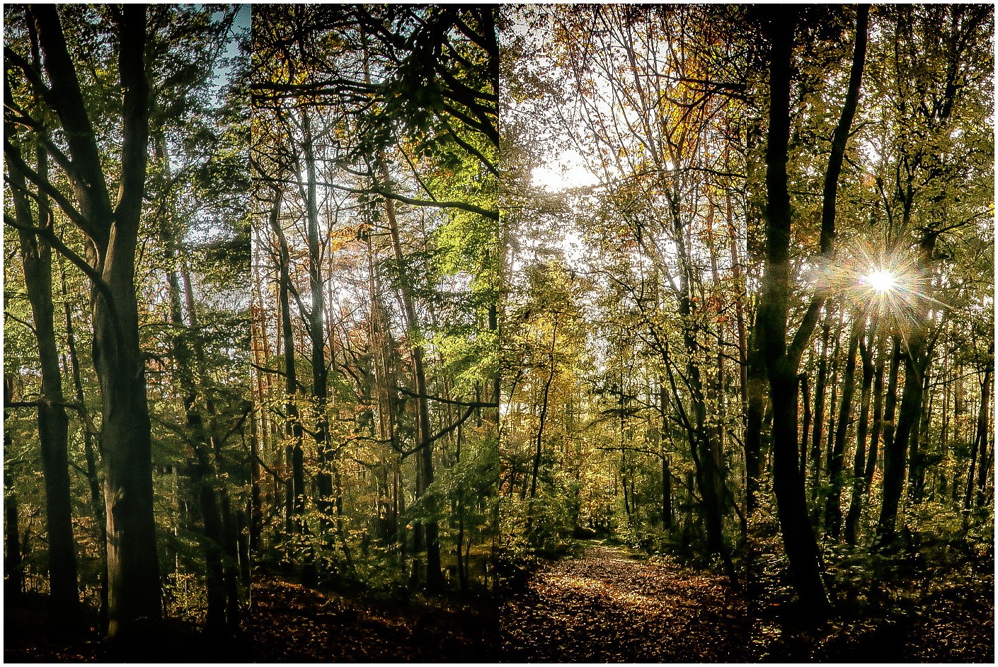 Herbstcollage