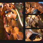 Herbstcollage Braun