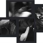 Herbstcollage b/w