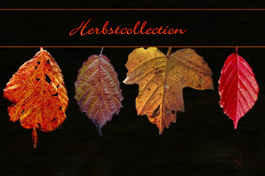 Herbstcollection