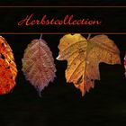 Herbstcollection