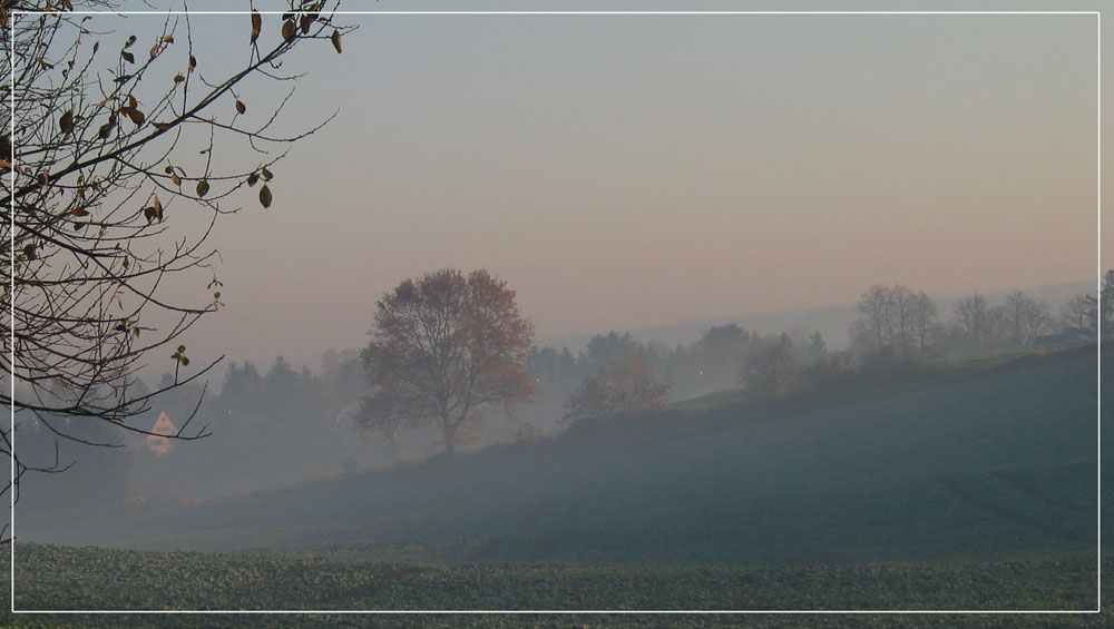 Herbstdämmerung