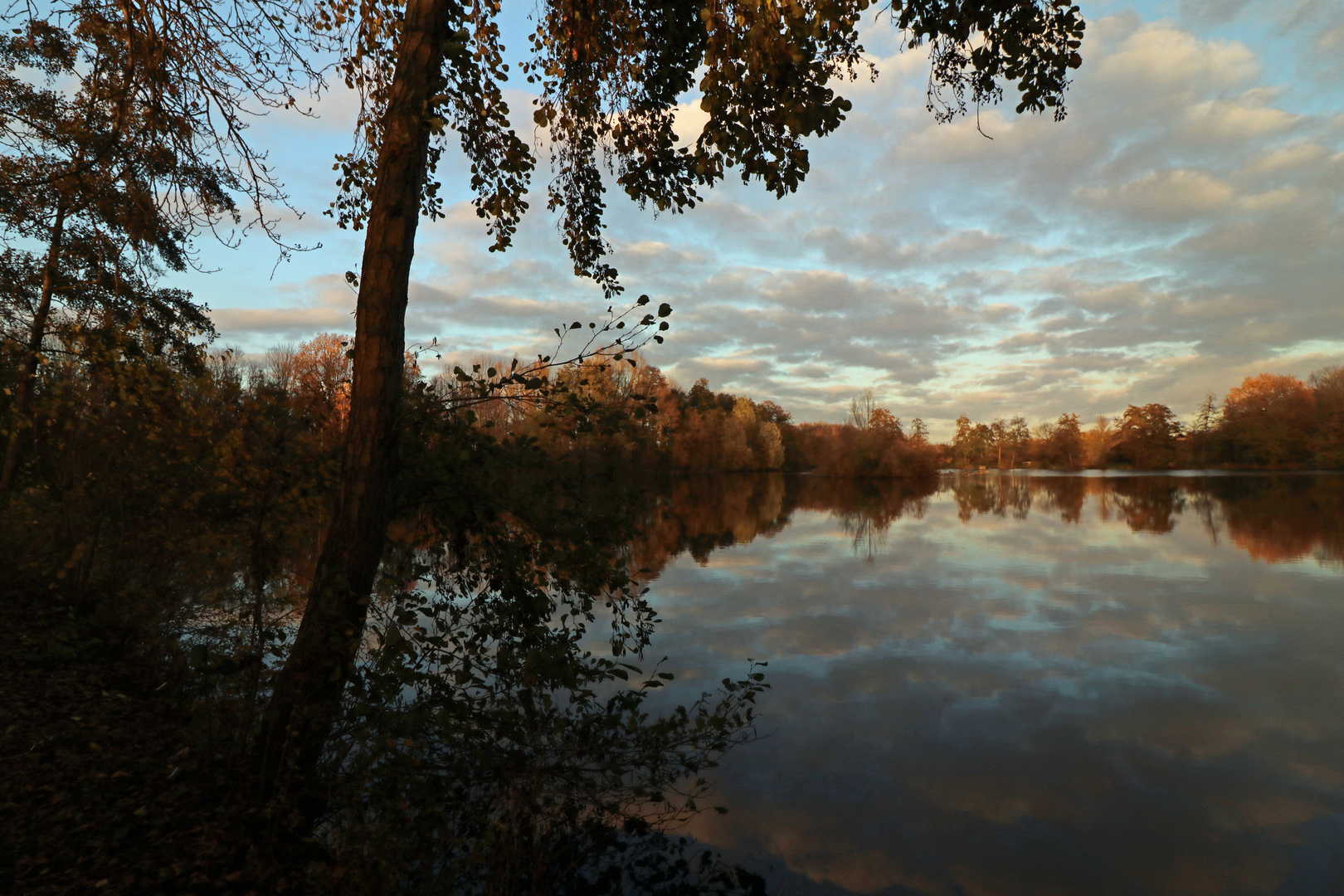 Herbstdämmerung