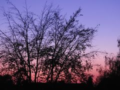 Herbstdämmerung
