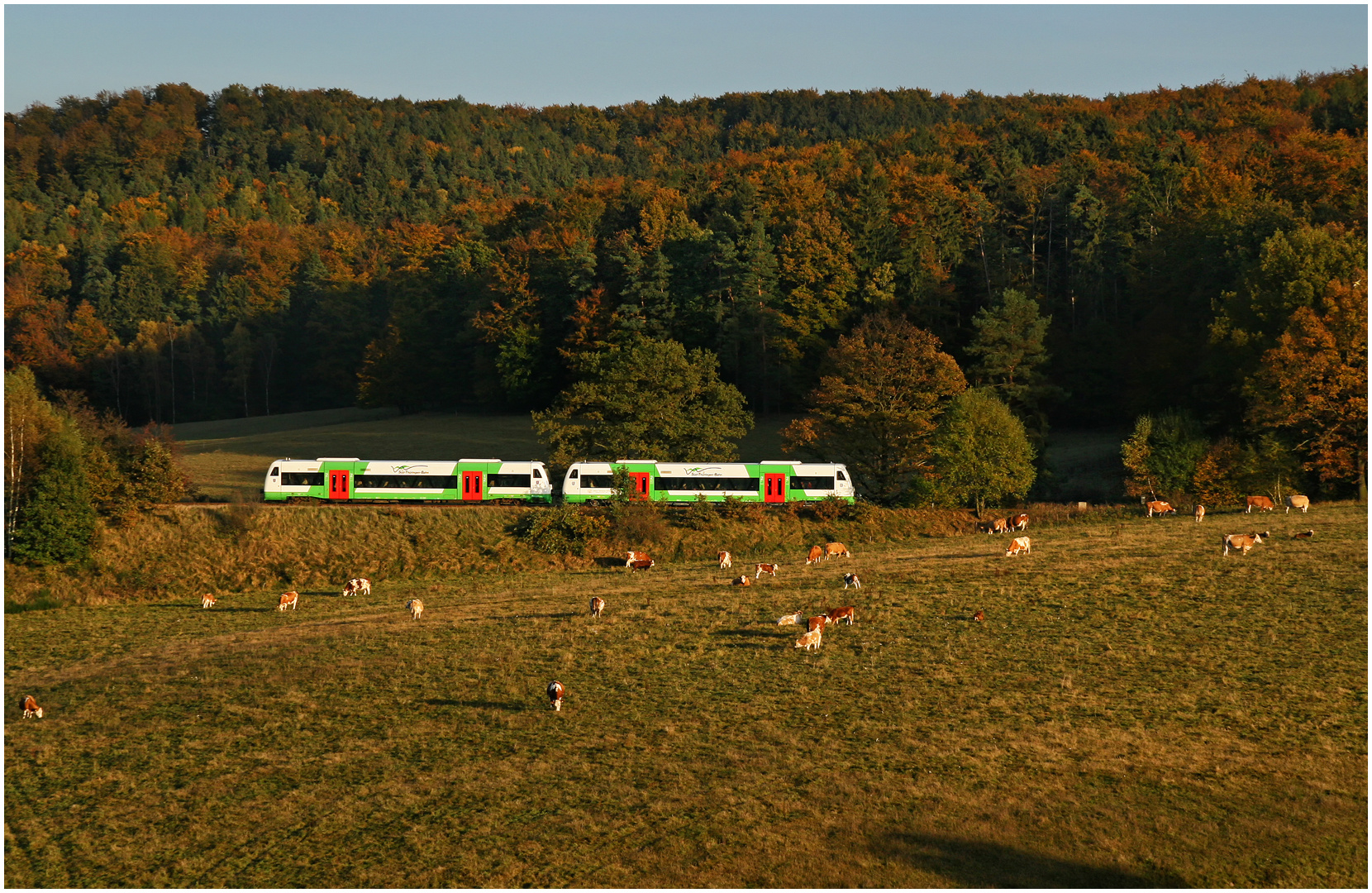 Herbstdampf 2007 CXVI