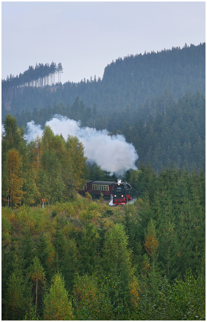 Herbstdampf 2007 III