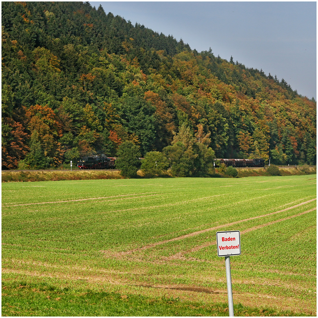 Herbstdampf 2007 XLIV