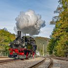 Herbstdampf 2021 bei der Weißeritztalbahn