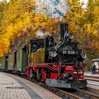 Herbstdampf bei der Weißeritztalbahn