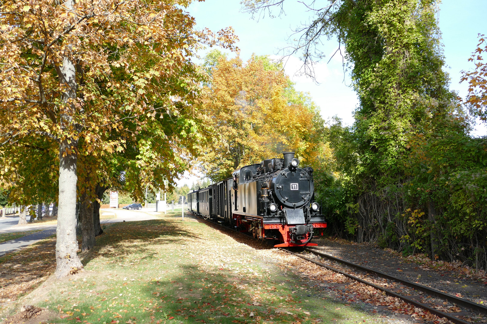 Herbstdampf bei Klostermansfeld