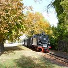 Herbstdampf bei Klostermansfeld