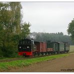 Herbstdampf beim Pollo