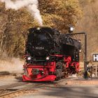 Herbstdampf im Harz 2.