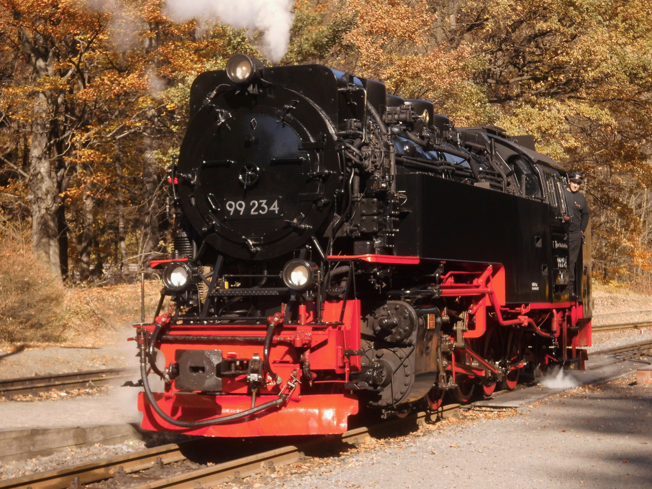 Herbstdampf im Harz 4.