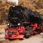 Herbstdampf im Harz 4.