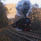 Herbstdampf im Harz. Mit der 99 7245-6 nach Eisfelder Talmühle 2.