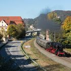 Herbstdampf im Neckartal