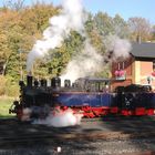 Herbstdampf im Preßnitztal