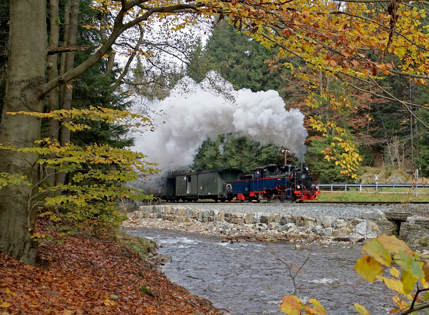 Herbstdampf im Preßnitztal