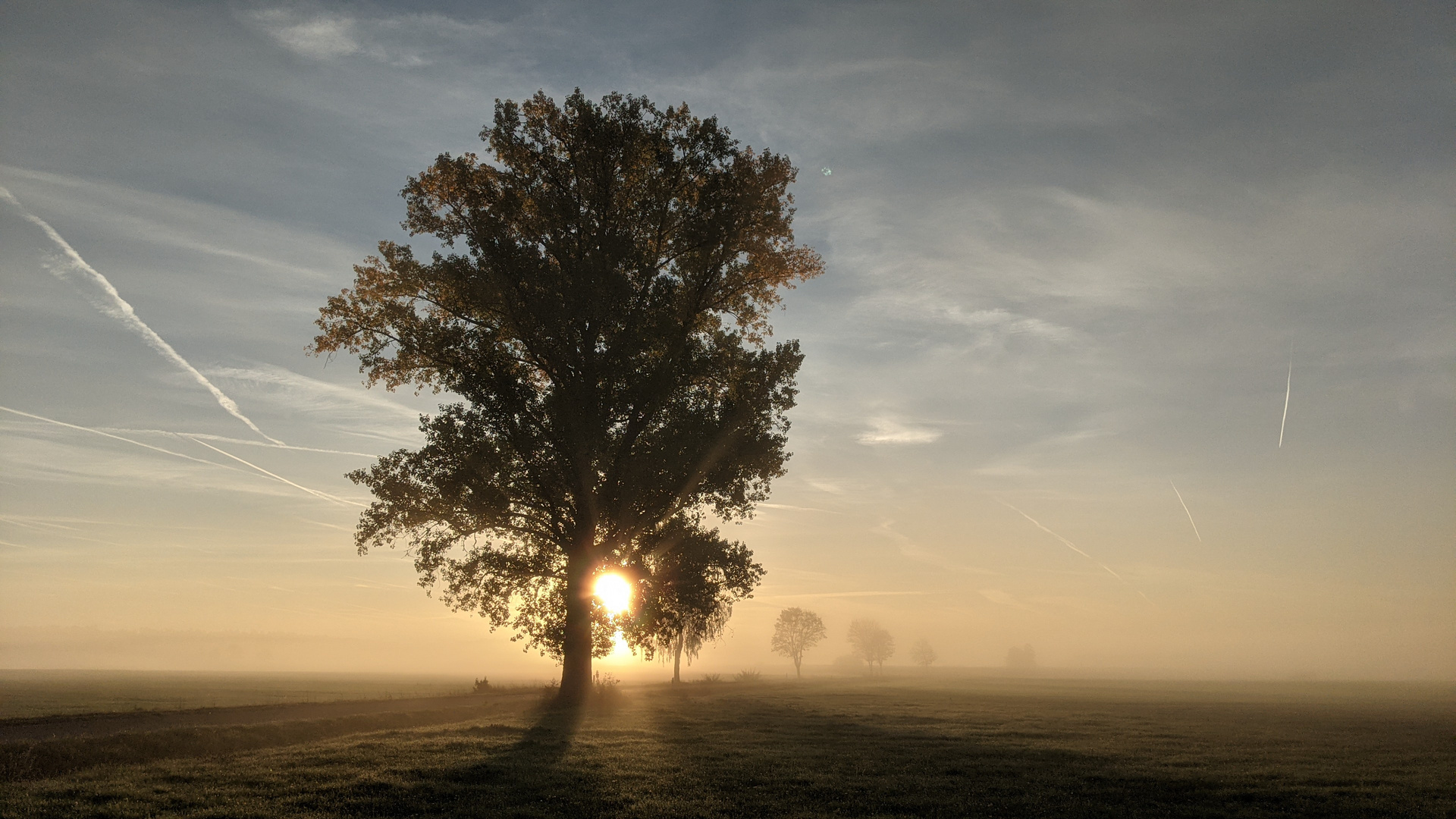 Herbstdeko 