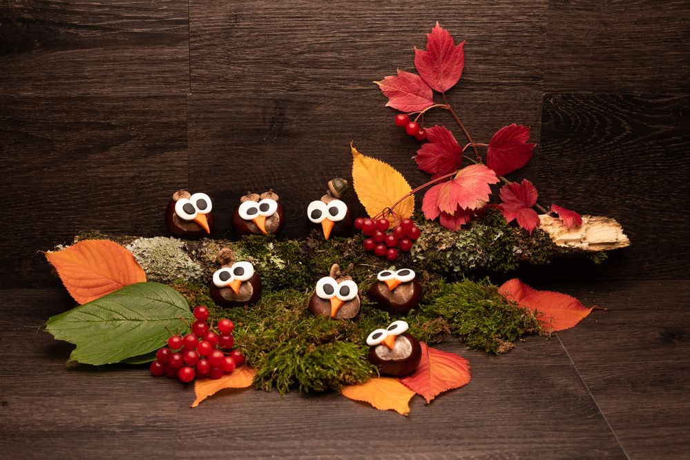 Herbstdeko Eulen Foto & Bild | grün, gelb, natur Bilder auf fotocommunity