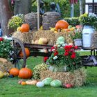 Herbstdeko in Bad Sassendorf 