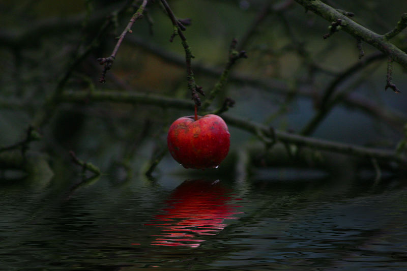 Herbstdepression