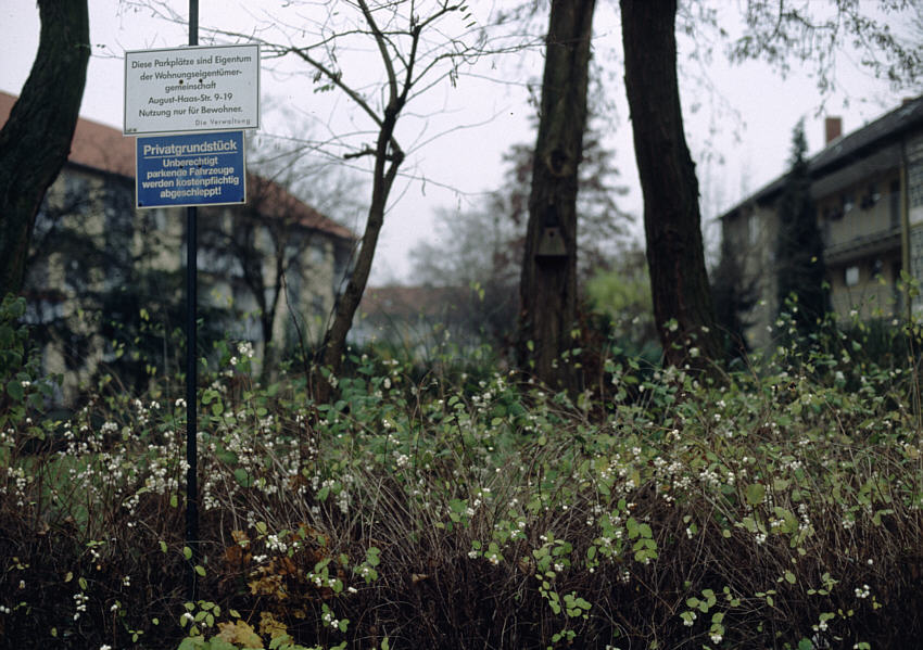 Herbstdepressionen: Gartenstadt (3)