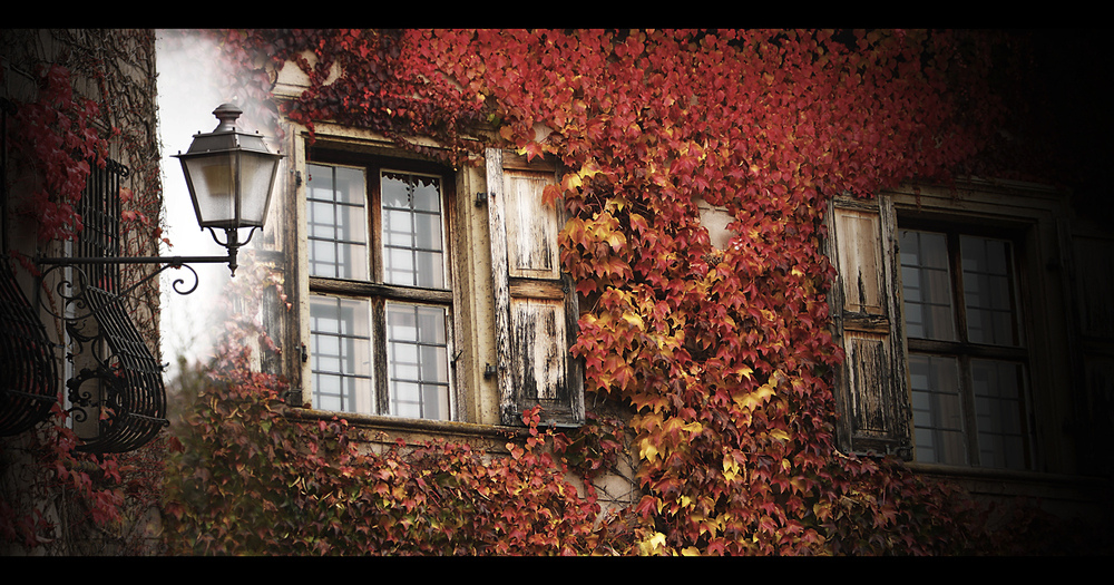 ~Herbstdfarben~