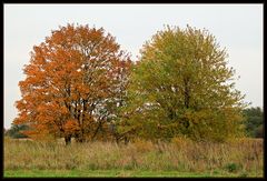 Herbstdoppel