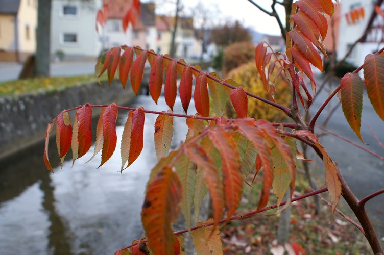 Herbstdorf