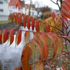 Herbstdorf