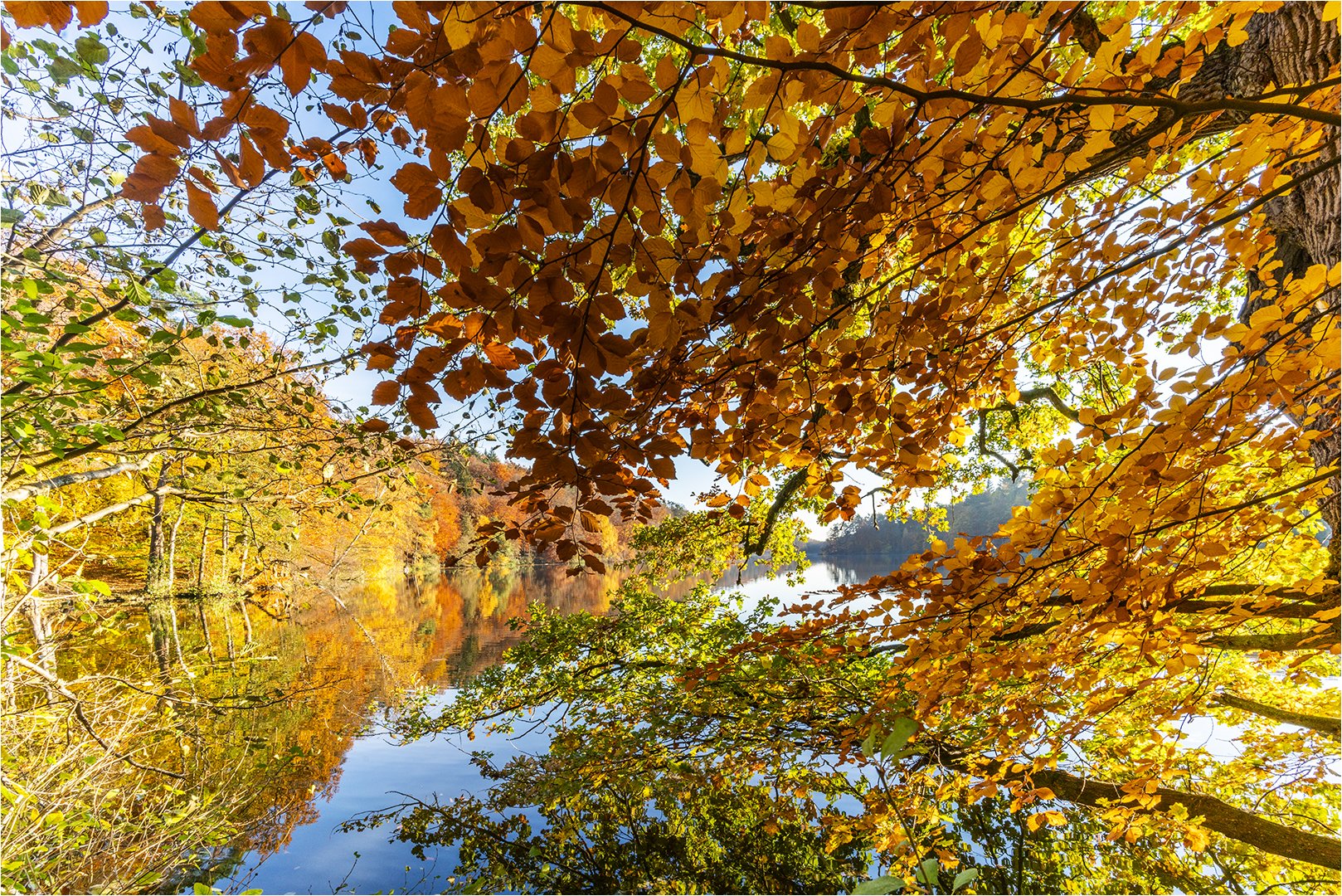 ... Herbstdressing an Blattsalat ...