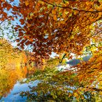 ... Herbstdressing an Blattsalat ...