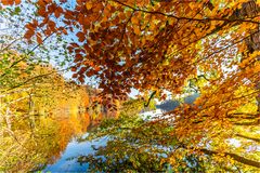 ... Herbstdressing an Blattsalat ...