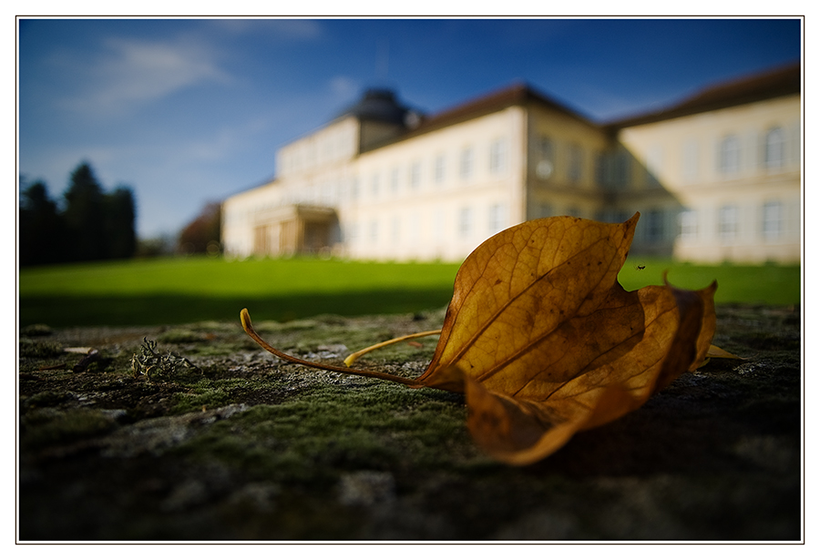 [Herbstduft]