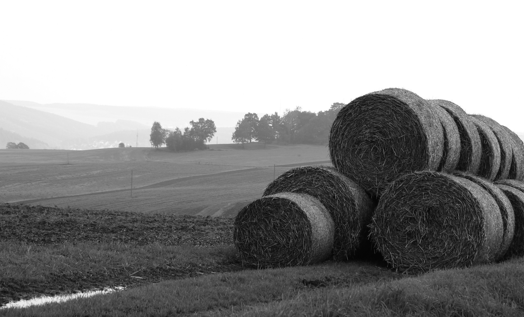 Herbstdunst