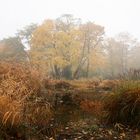 Herbstdunst