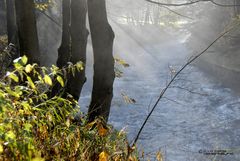 Herbstdunst