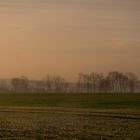 Herbstdunst über den Feldern