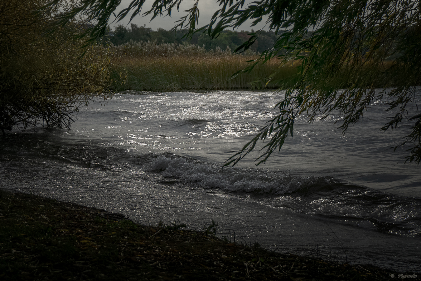 Herbstdurchblick