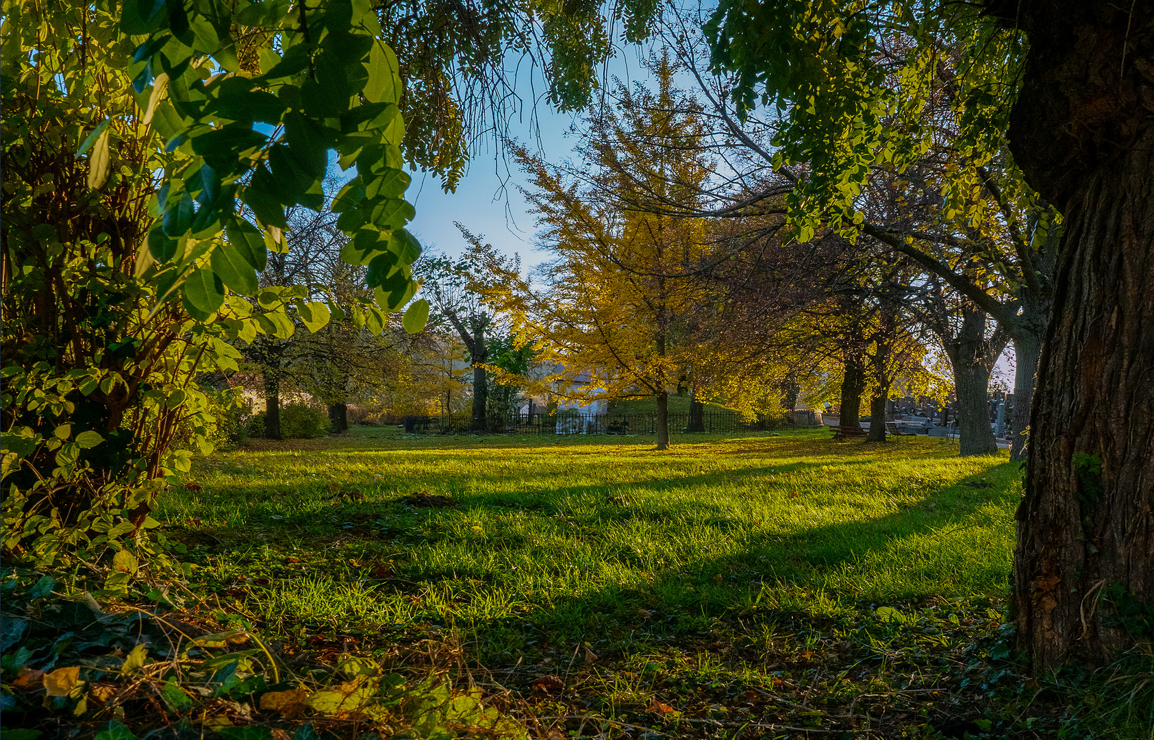 herbstdurchblick...