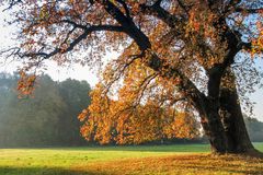 Herbsteiche